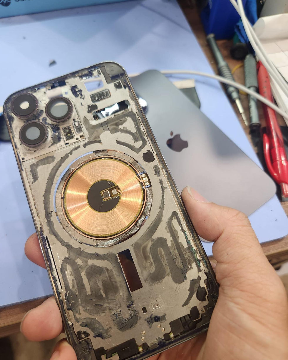 321439537_858388445484133_4866971649535008284_n