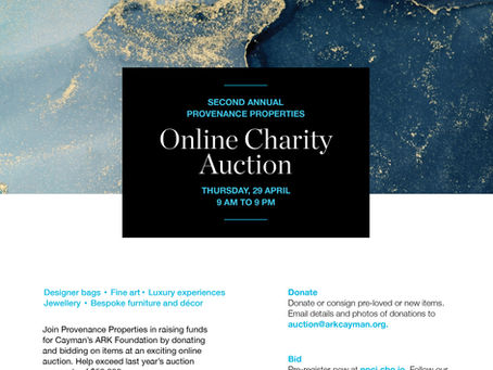 Online Charity Auction