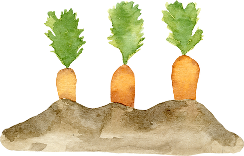 carrots.png