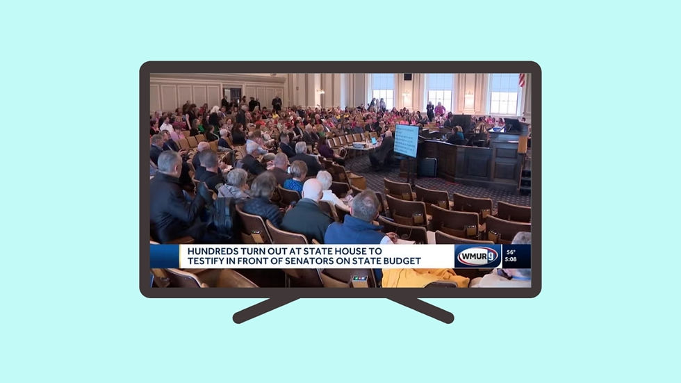 TV screen showing hundreds testifying on the NH state budget