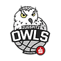 zugspitz_owls.png