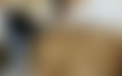 마늘파종기·마늘종자부착기 농업기술 실용화 재단 종합검정 통과