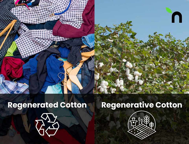 Regenerated cotton vs Regenerative cotton