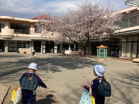 始業式・入学おめでとう🌱