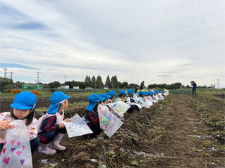 🌷竹組🌷さつまいも堀り