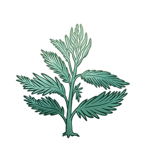 props_seedpodplant_full.png