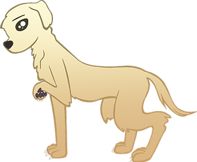 dog3.5.png