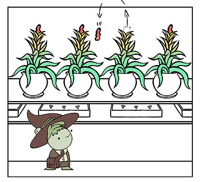 shootingplant_conceptart_plant3_edited.jpg
