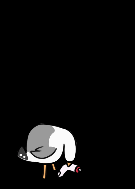 seagullanimblackbg.gif