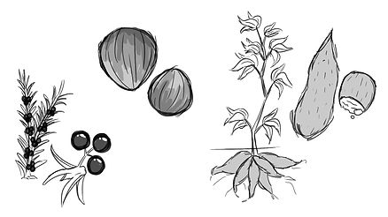 ediblesconceptart.jpg