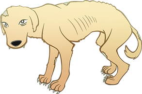dog3.png