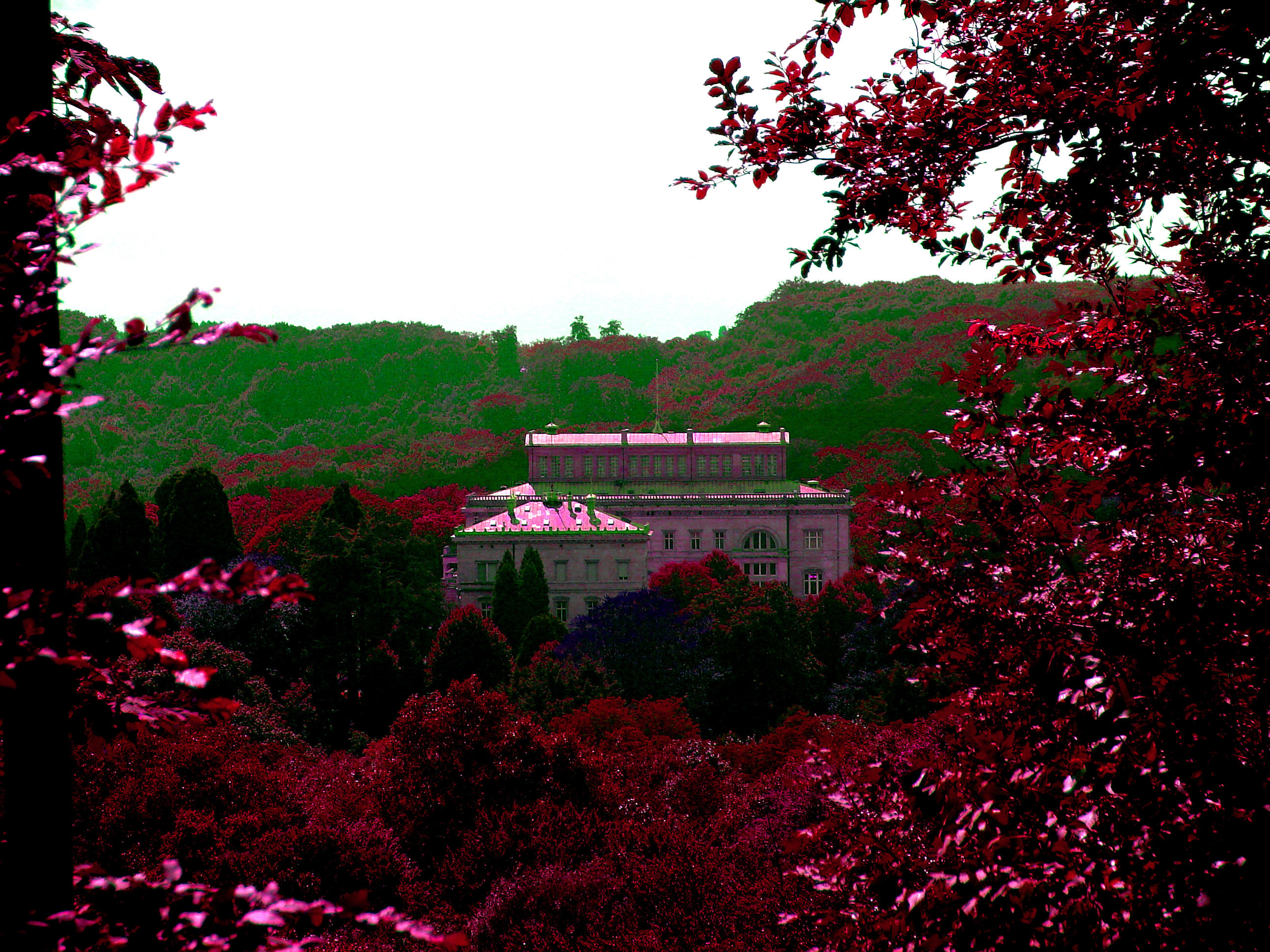 Villa Hügel en rose