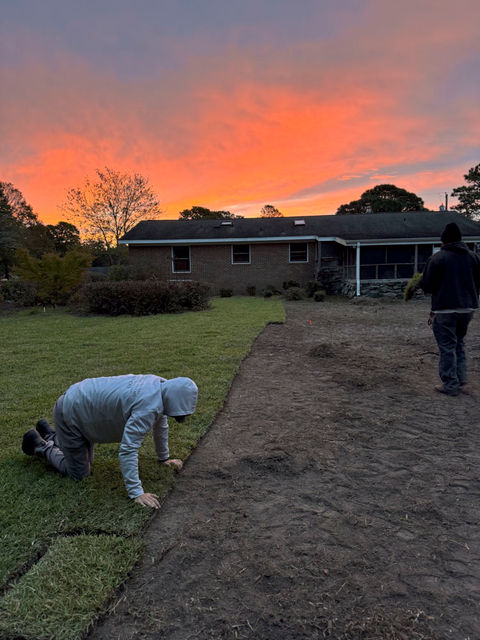 laying turf, new grass, sod installation