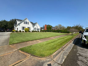 Lawn treatment services Wilmington NC