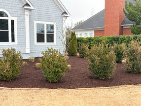 flower beds, landscapers wilmington nc