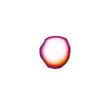 IMG_3306.gif