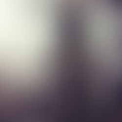 藍染カレン出演 女王ステ 不滅部隊編『Rose』キービジュアル解禁