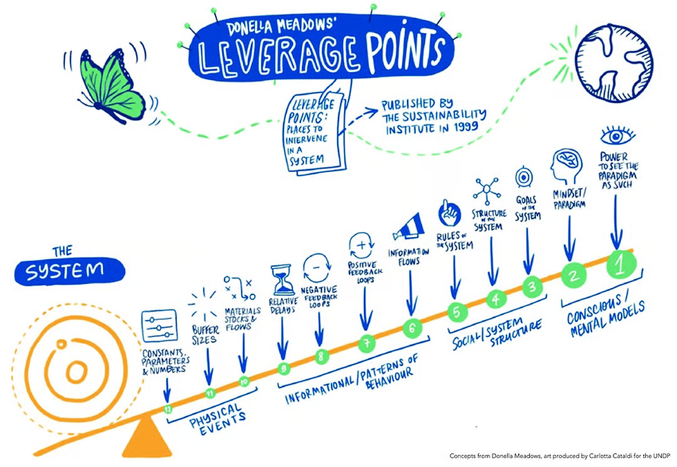Infographie bleue et orange sur les points de levier de Donella Meadows, avec flèche numérotée, papillon et titre en anglais.