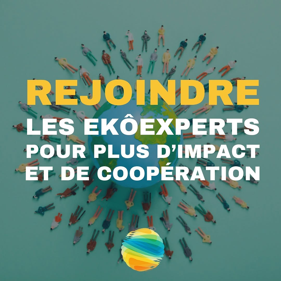 Mini-personnes autour d’un globe, avec le texte Rejoindre les EKÔEXPERTS pour plus d’impact et de coopération.