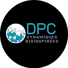 logo dpc.png
