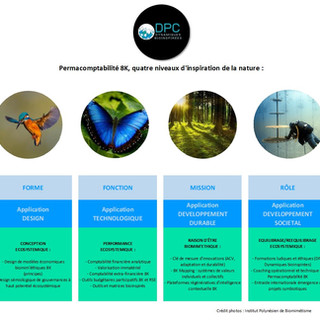 dpc biomiméthique.jpg