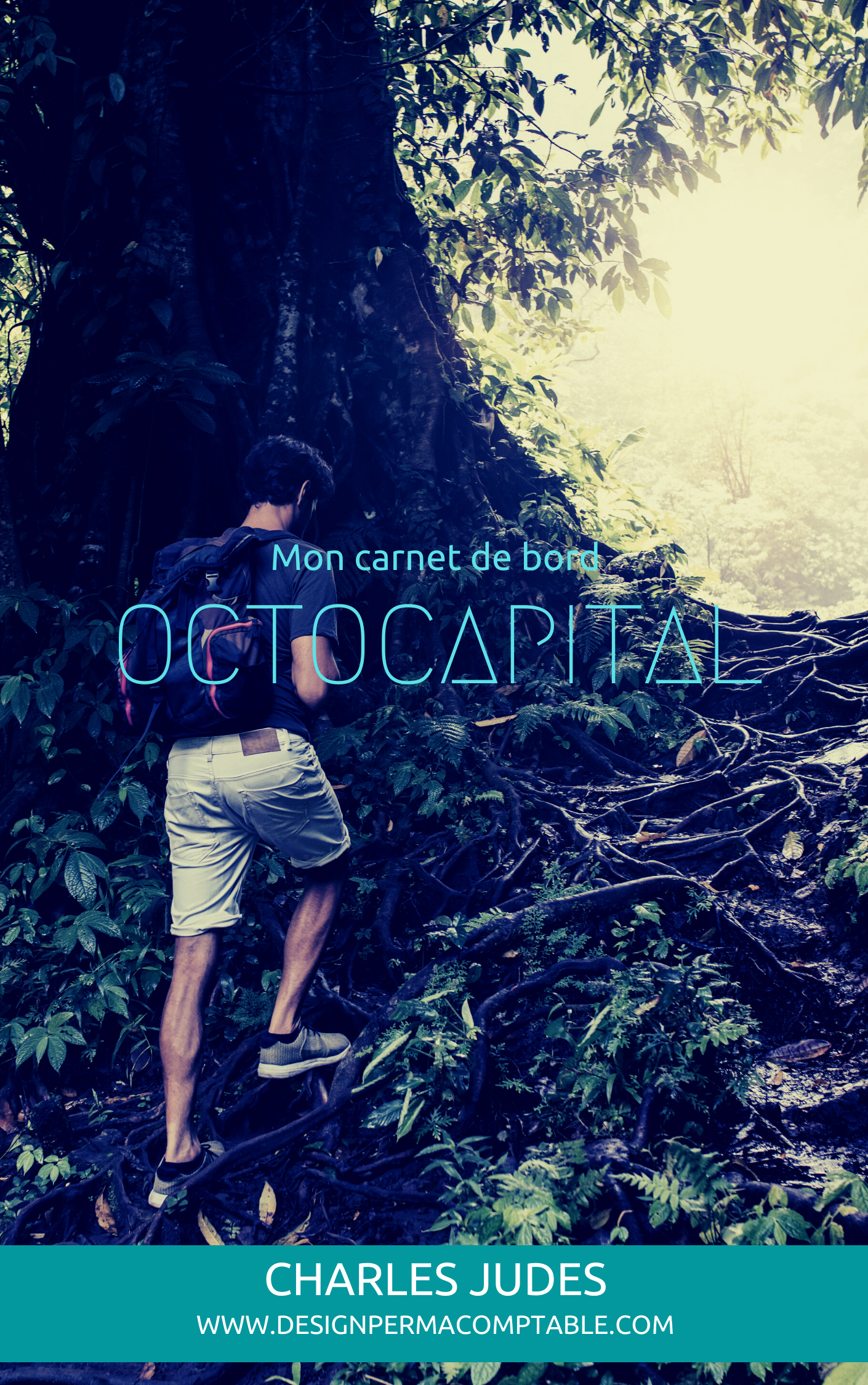 Mon carnet de bord Octocapital