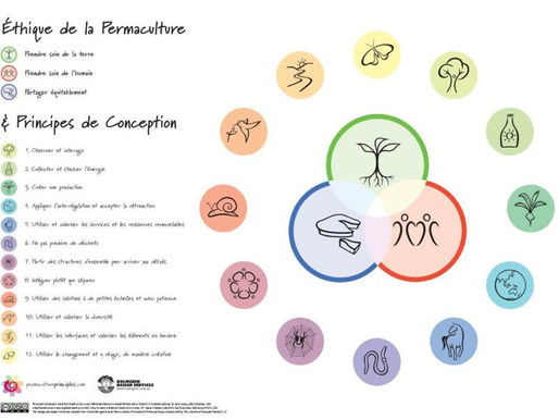 La Permaculture Appliquée aux Entreprises : Une Nouvelle Vision de la Croissance Durable