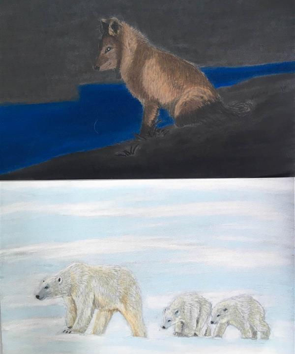 Liz Aina Kjelland,  Not a trophy no.2 & no.3, 2x 25x35 cm .Lowkey og highkey, Softpastel p