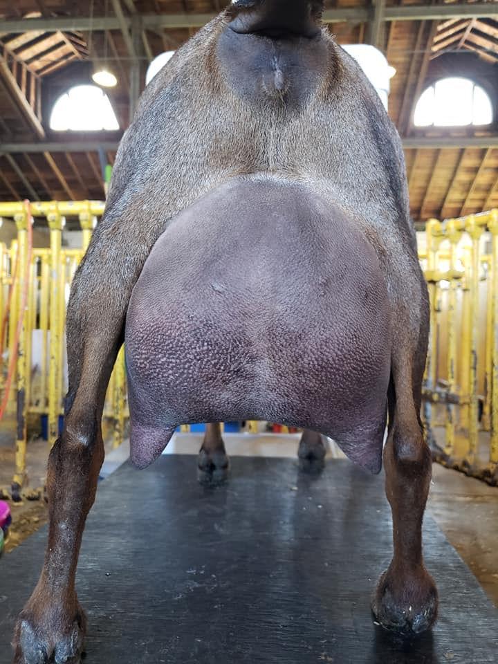 CH High Hills Me W Charlotte 1*M