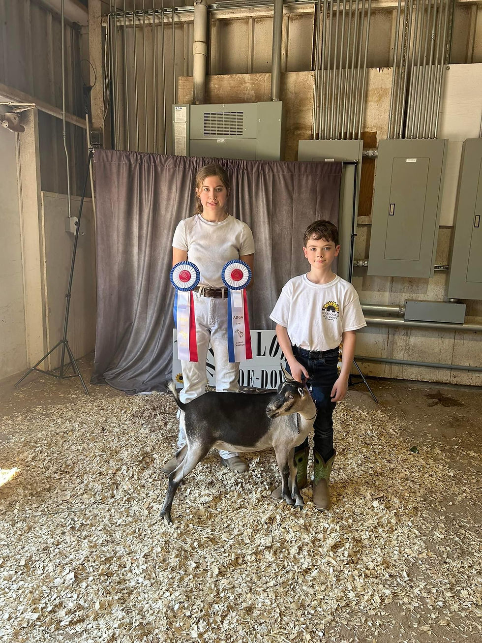 Golden Milkers Kenzi's Roxy