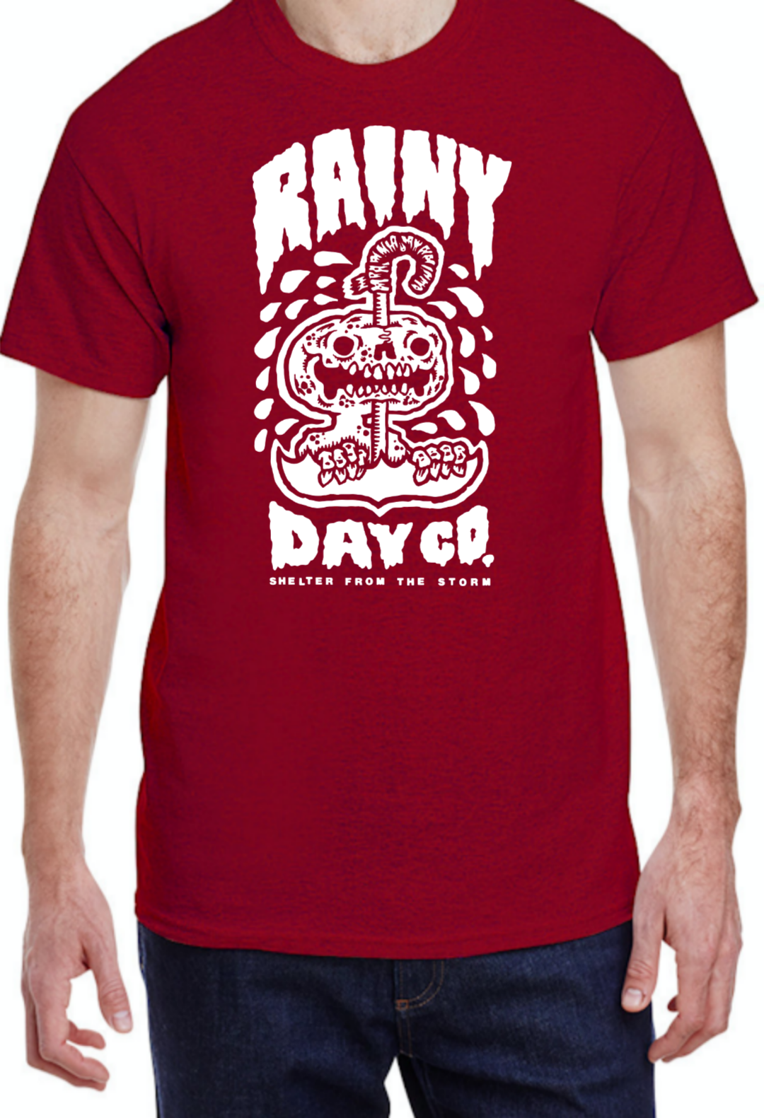 Shelter From The Storm Tee