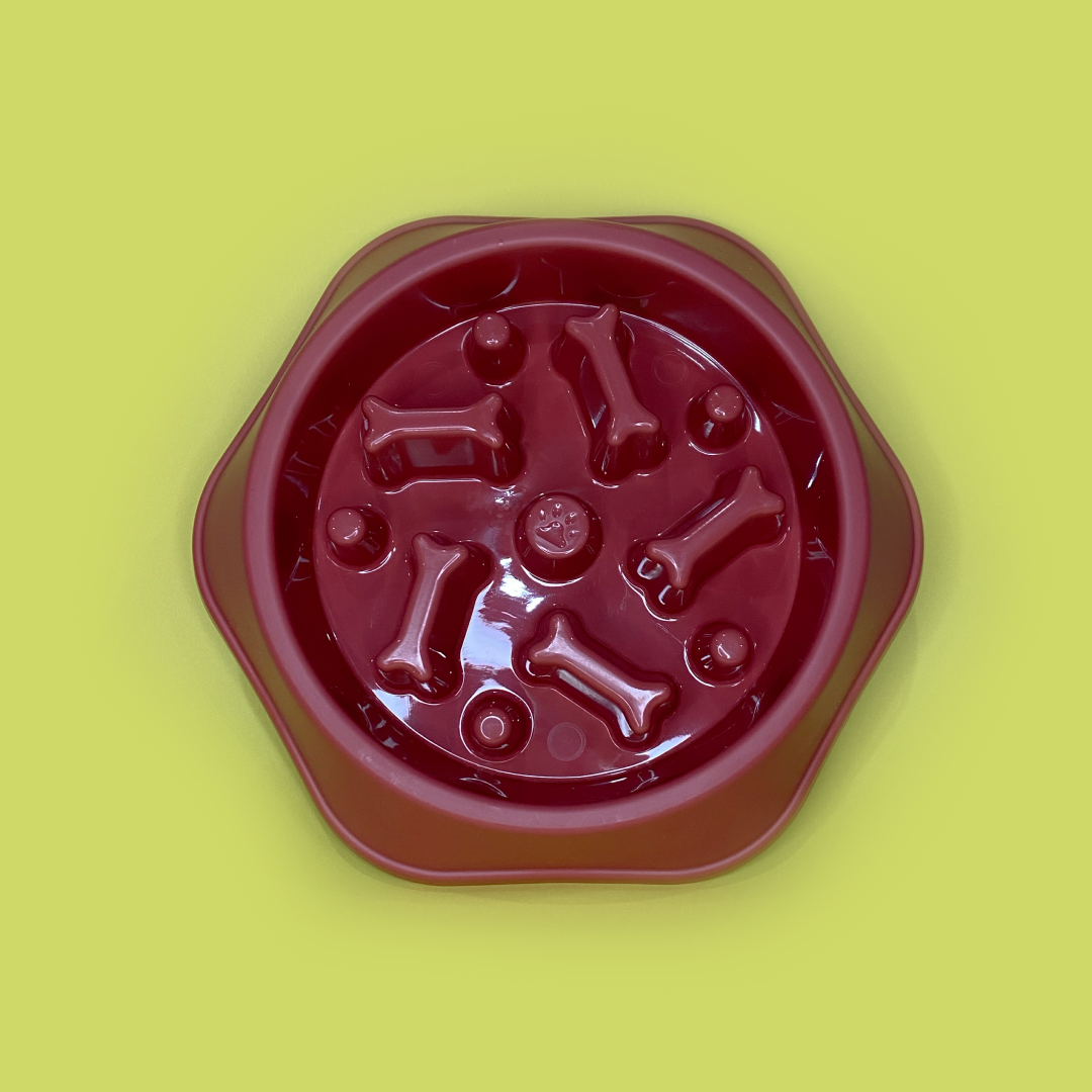 Plato ingesta lenta_huesos_rojo