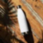 Thumbnail: Stainless steel water bottle