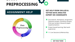 Data Preprocessing Assignment help 
