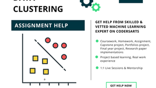 Data Clustering Assignment Help 