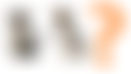 Cat and Dog image Classification : A Project-Based Deep Learning Course