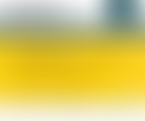 Python Coding Assignment: Artificial Neural Network