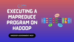 Executing a MapReduce Program on Hadoop - Hadoop Assignment Help