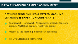 Data Cleansing Assignment | Sample Assignment