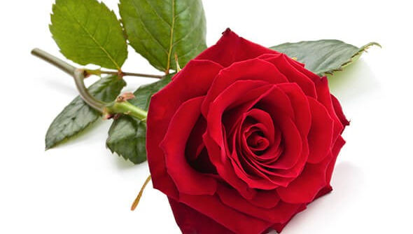 Prosper MULOWAYI KATAMBAYI 