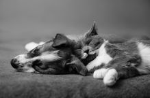 IMG_9729-Edit.jpg