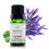 Miniatura: Lavanda Bulgária