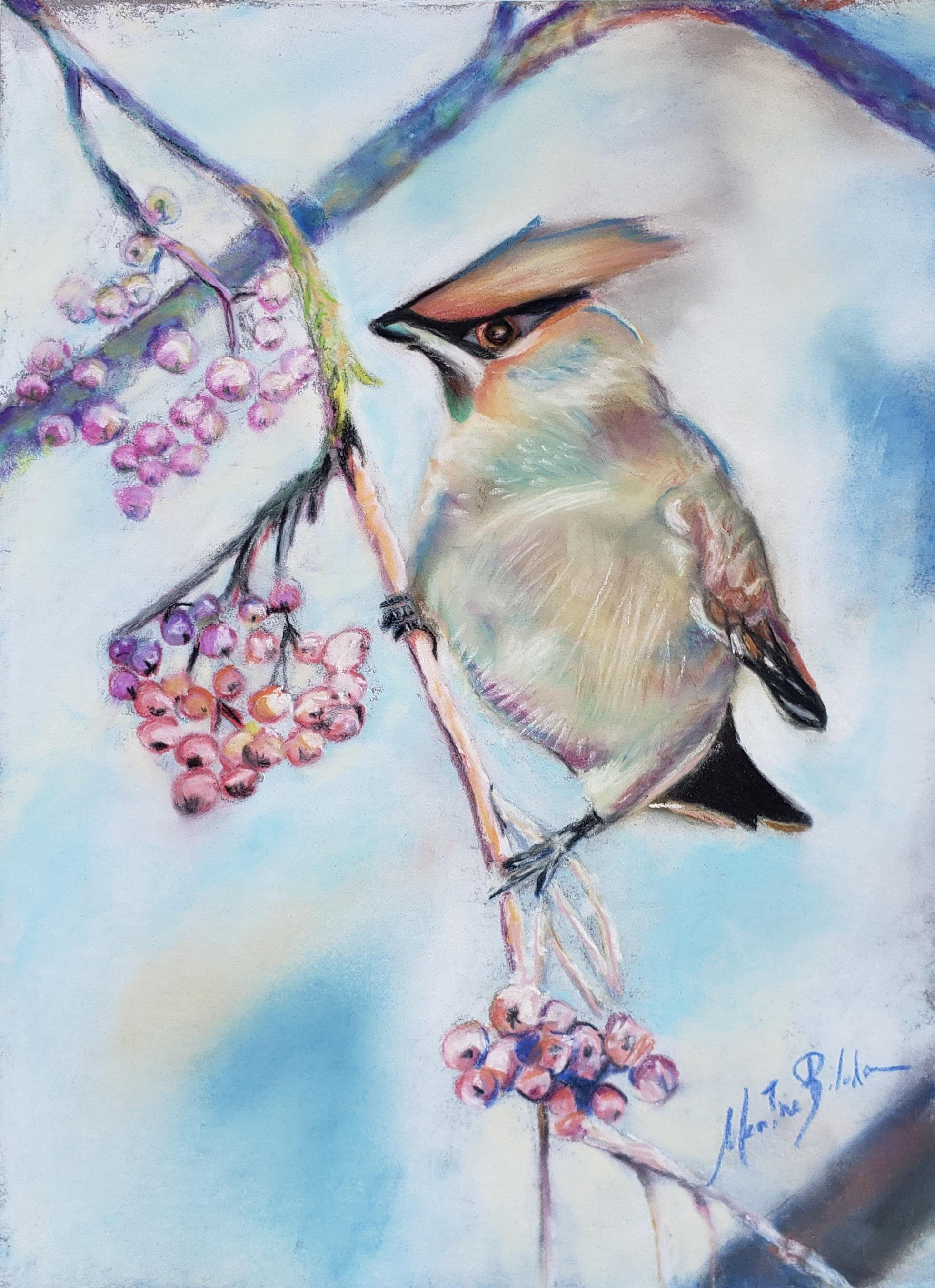 Waxwing
