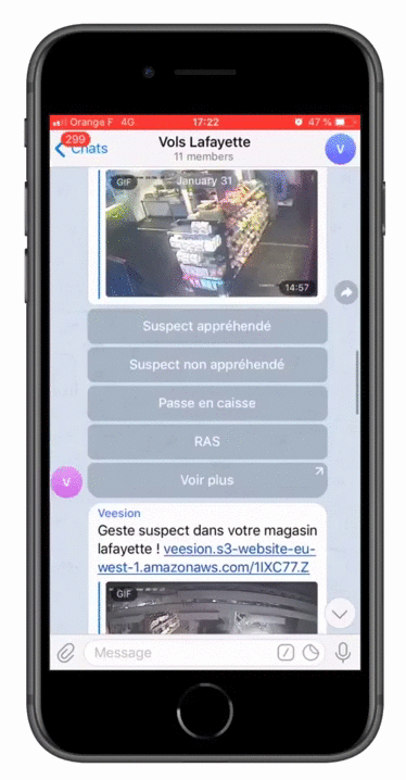 demo-veesion-vol-magasin-ai-application_