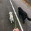Thumbnail: Large Double Leash