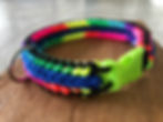 Thumbnail: Large Metal Buckle Collars