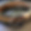 Thumbnail: Dog collar 