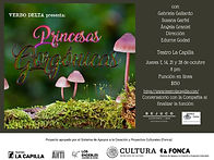 poster princesas.jpeg