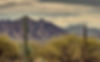 Tucson Arizona Landscape_edited.jpg