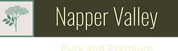 Original on transparent (2).png
